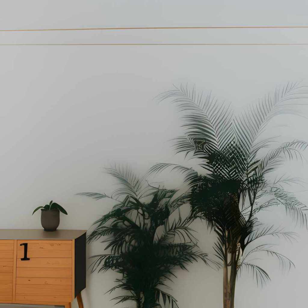 Alquiler convencional y rent to&nbsp;rent